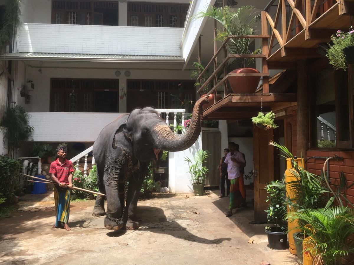 Hotel Mango Garden Kandy Zewnętrze zdjęcie